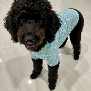 Cozy Blue sequin Dog Sweater